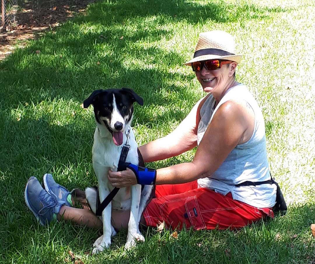 Jayne seated on the grass beside CJ, the young Kelpie cross she trained during her NDTF qualification