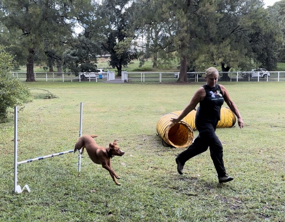 Jayne running beside Inca as Inca clears an agility jump